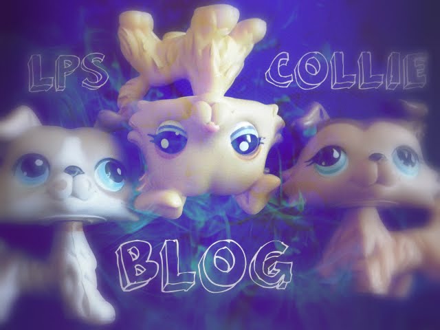 LPS Collie Blog