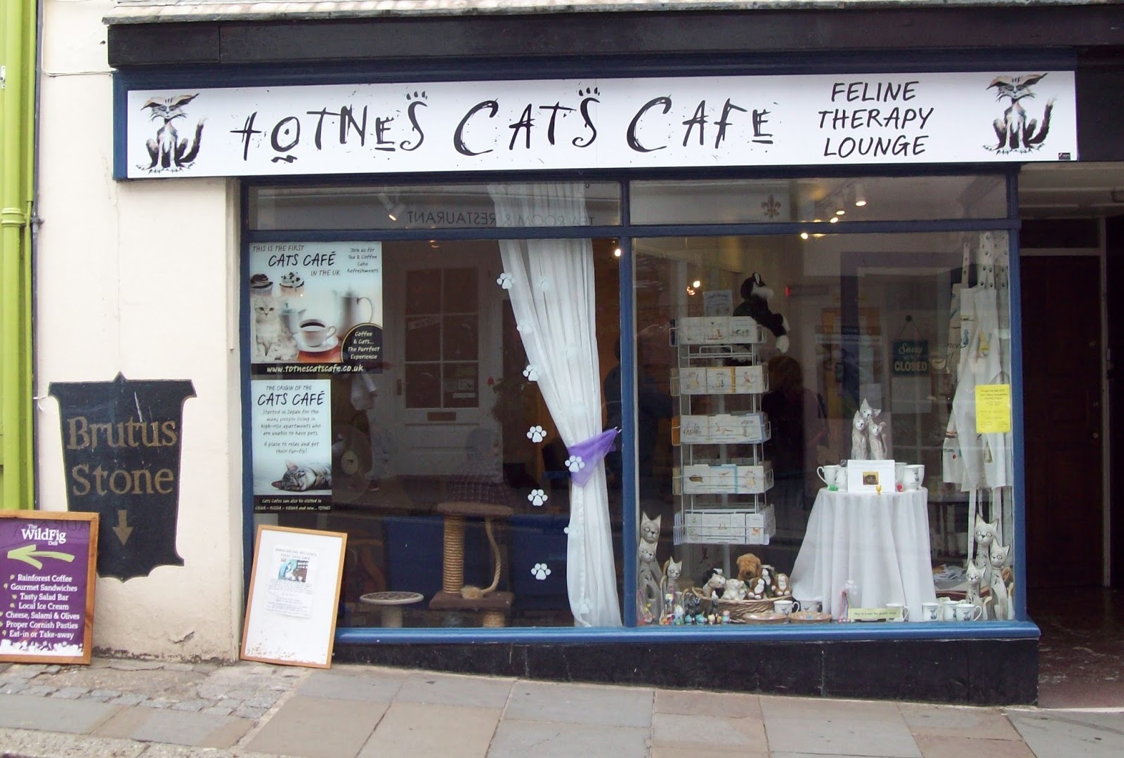 Broad Oak Magazine: Totnes: Cats Cafe