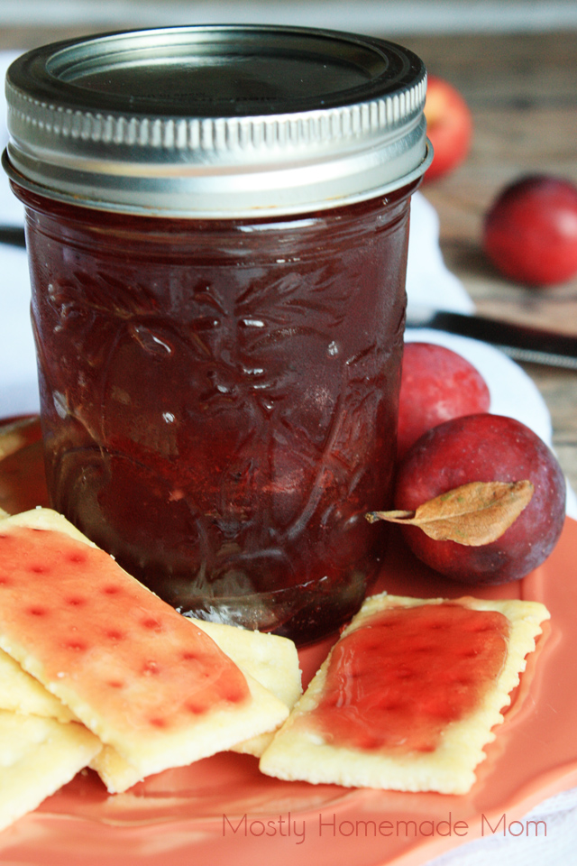 Crabapple Freezer Jelly Mostly Homemade Mom