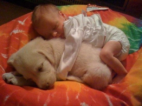 baby+kuschelt+hund.jpg