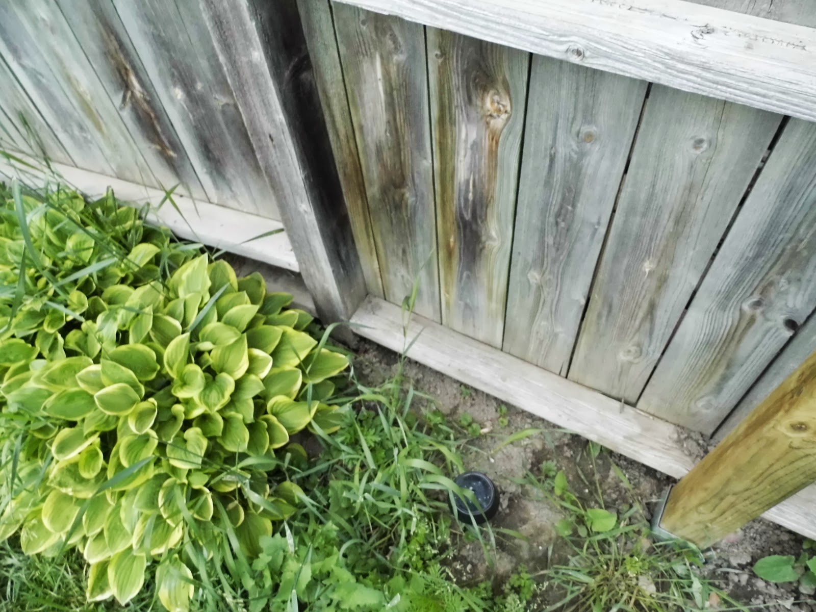 Fresh Coat of Paint What's That Old Expression About Fences And