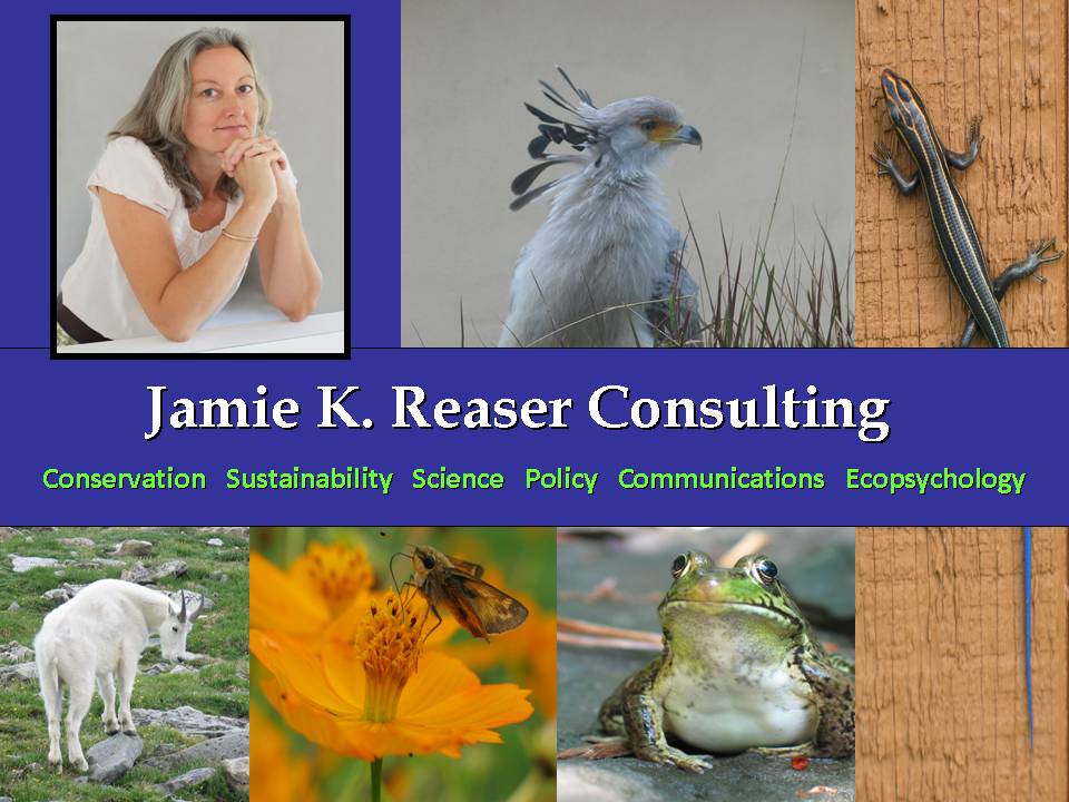 Jamie K. Reaser Consulting