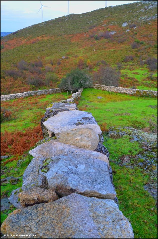 XOAN ARCO DA VELLA FOXO DO CAMPO COVELO