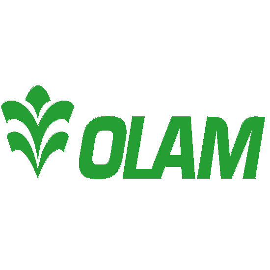 OLAM INTERNATIONAL LIMITED (O32.SI) Target Price & Review