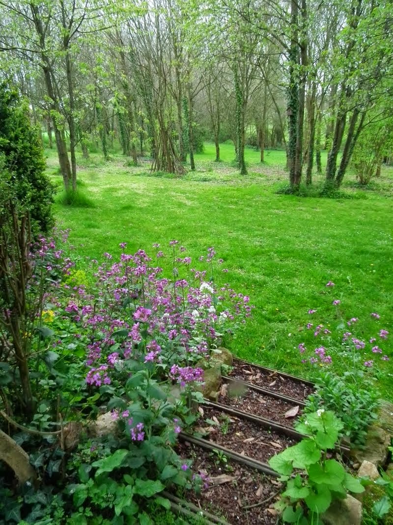 Steps down to the Woodland