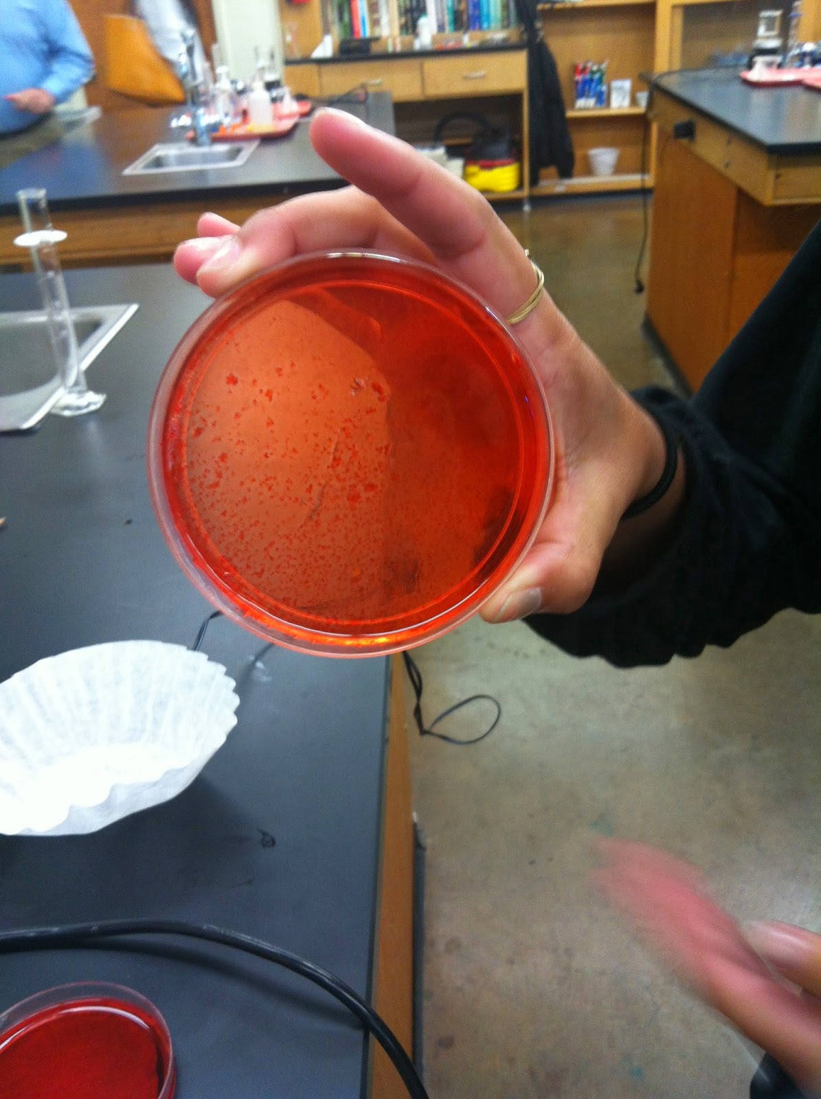 Linfei's Bio Blog No love for Pineapple The JellO Lab