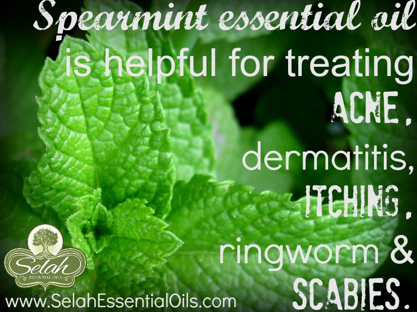Selah's Oily Blessings Spearmint Essential Oil and Acne, Dermatitis