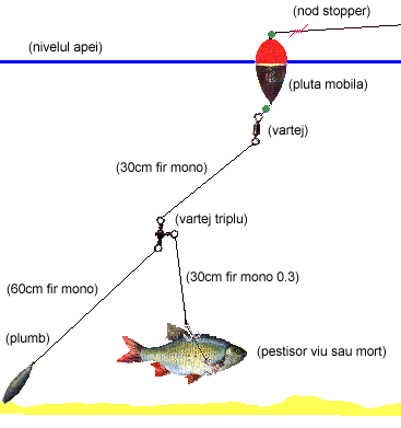 Pasiunea Mea Pescuitul Pescuit La Stiuca In Delta Dunari