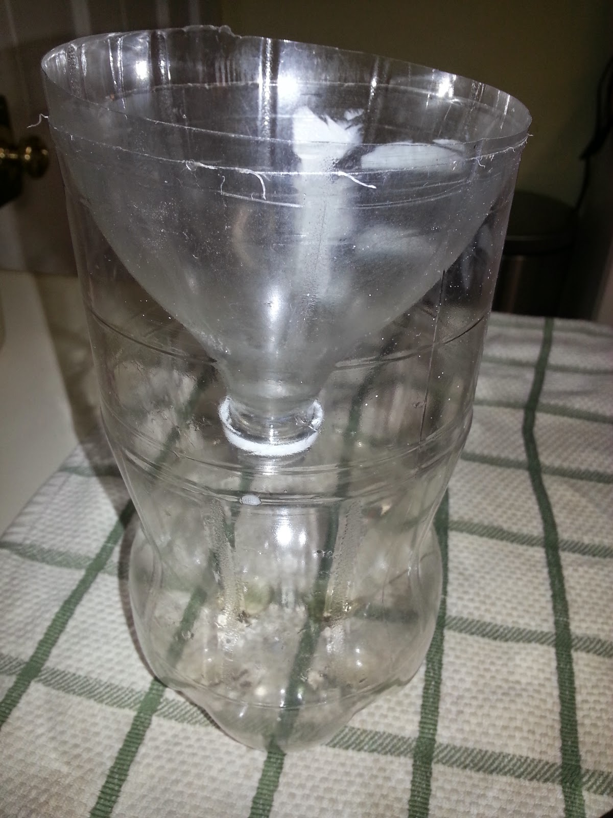 Tip Tuesday Homemade Yellow Jacket Trap Mommy's Block Party