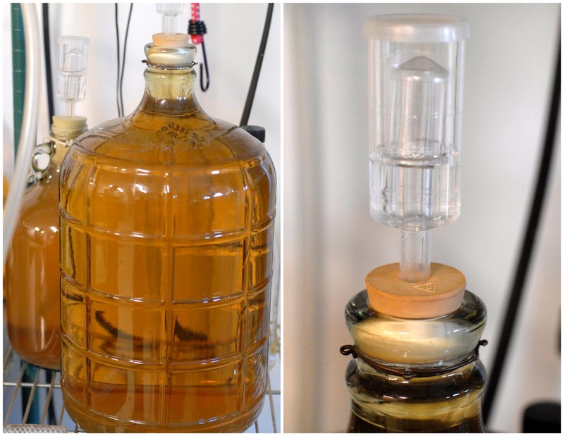 How to Make Mead & Bee Keeping 101 Boulder Locavore