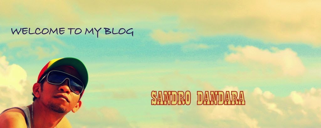 Sandro Dandara Blog