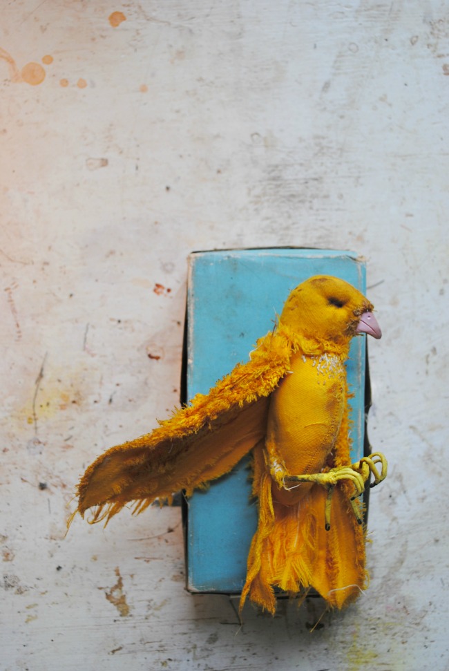 Yellow and Turquoise........