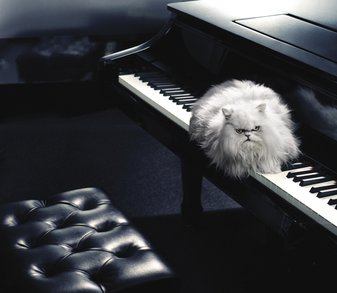 Catsparella Purrfect Props Up Cee Lo On The Cover Of Fast Company Magazine