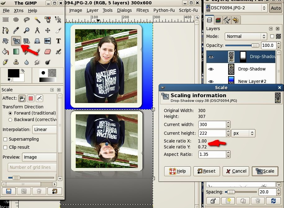 gimp 2.0 free download gimp 2.0 free download