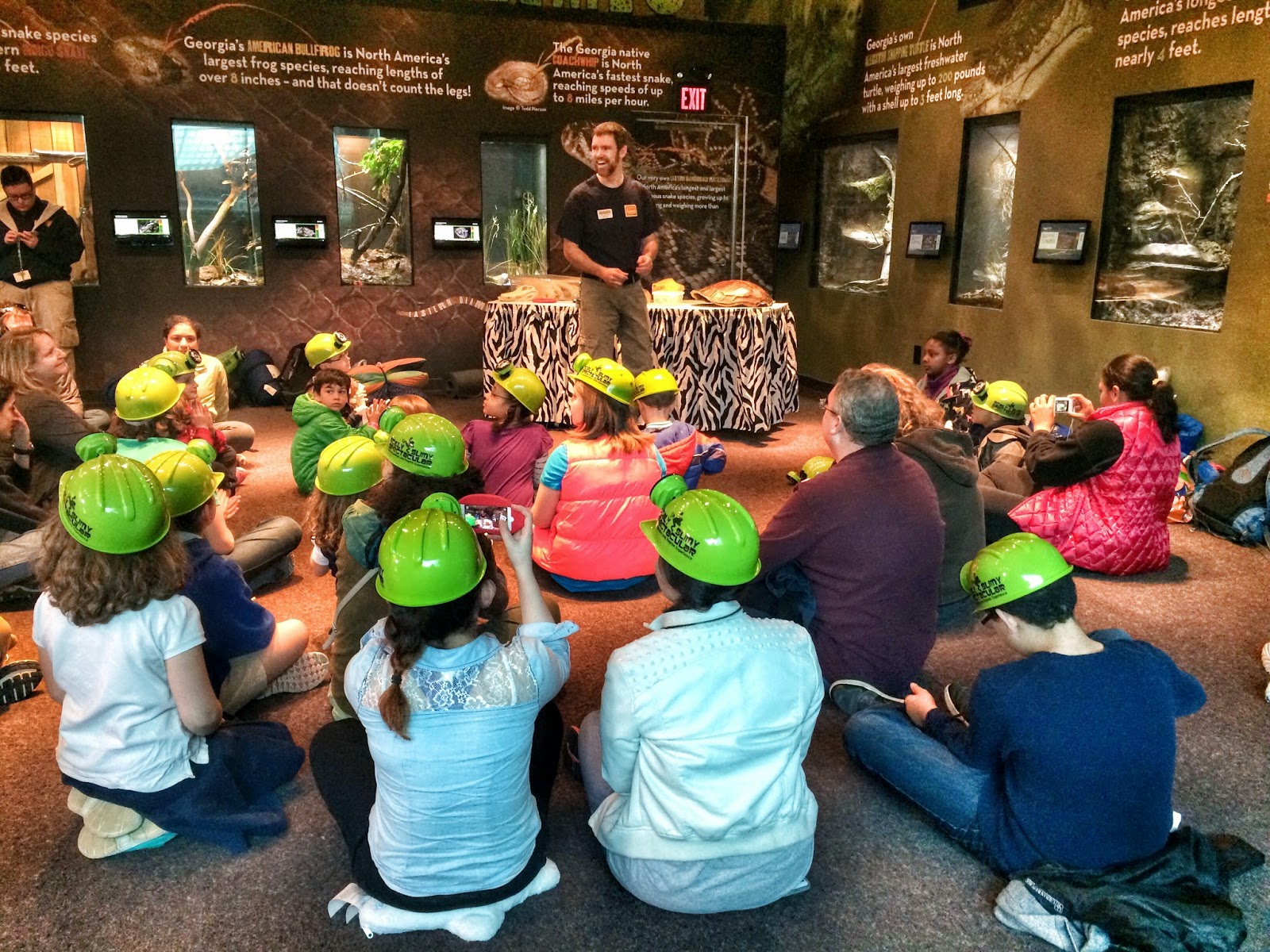 Behind The Scenes At The New Zoo Atlanta Scaly Slimy Spectacular Amphibian and Reptile Complex