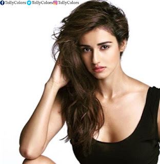 disha-patani-latest-hot-pics-photos-images-1 disha-patani-latest-hot-pics-photos-images-1