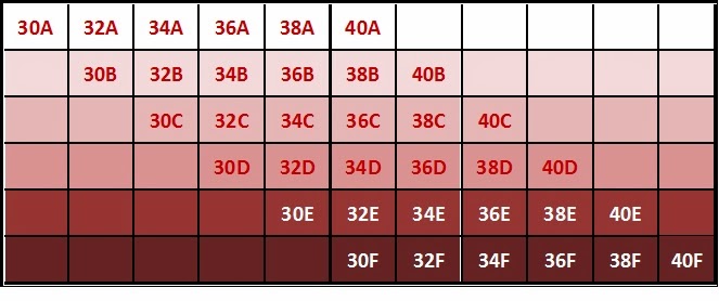 let it shine 10 signs that your bra doesnt fit you proper bra cup size comparison