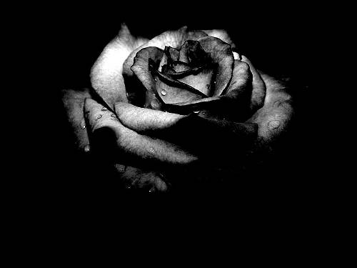 resimler diyarina hosgeldiniz