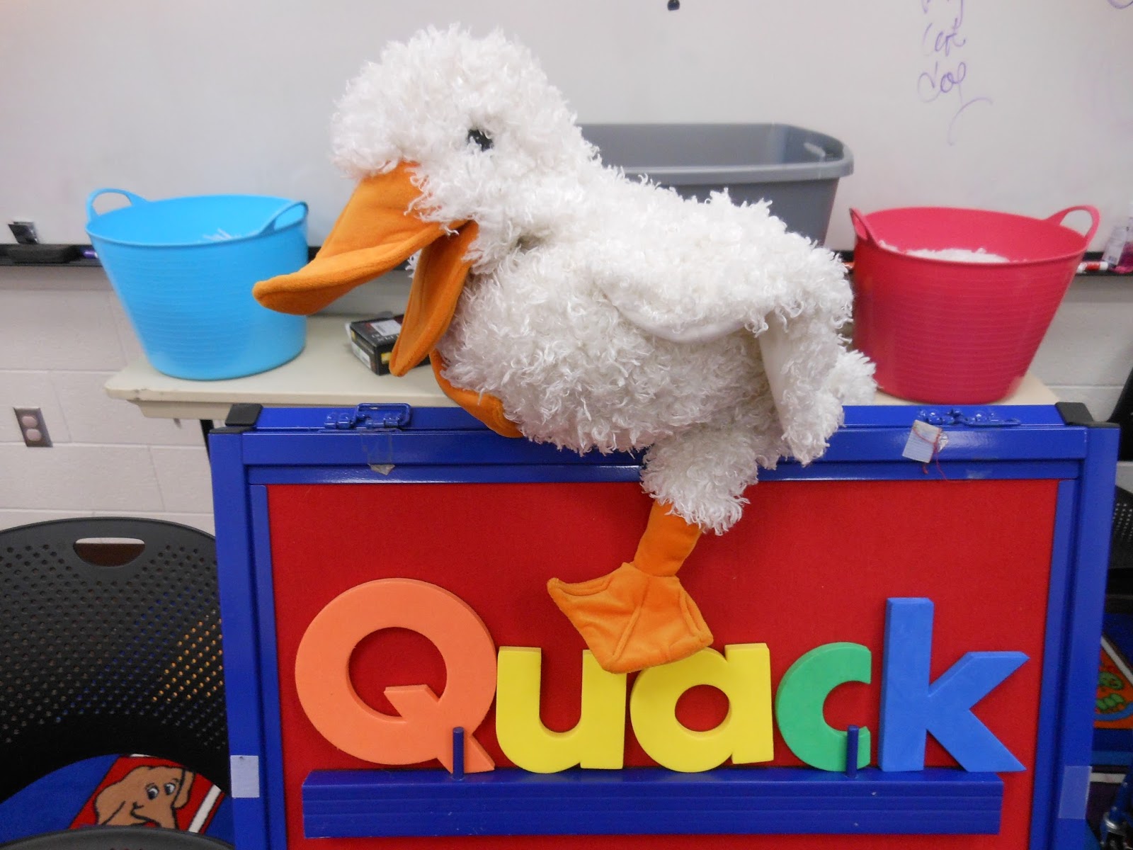 Storytime with Miss Tara and Friends Wiggle Worms Quack!