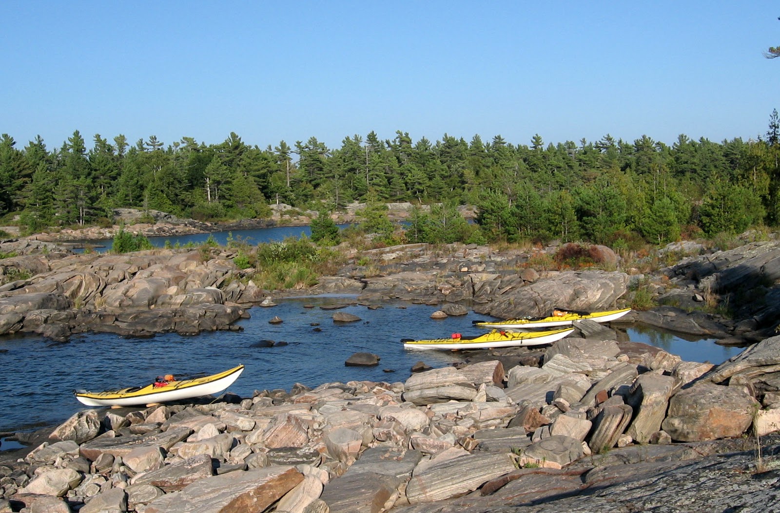 BirdingKayakingBabbling Bay kayak camping trip