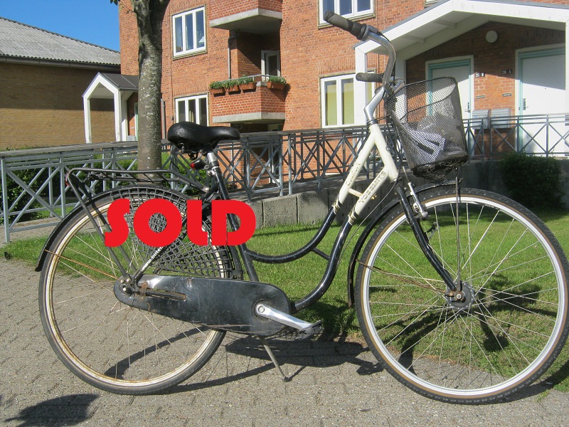 pacific evolution 24 inch boy's mountain bike