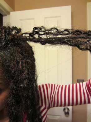 Pros And Cons Of Afro Puffy Twists Would I Do It Again