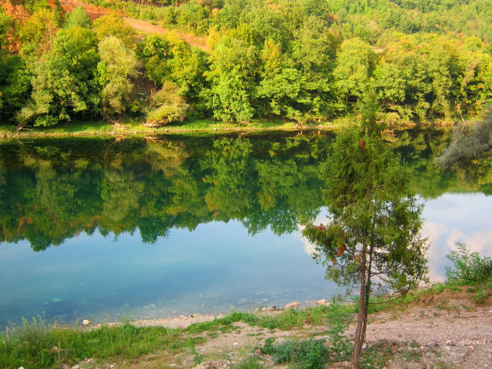 DRINA