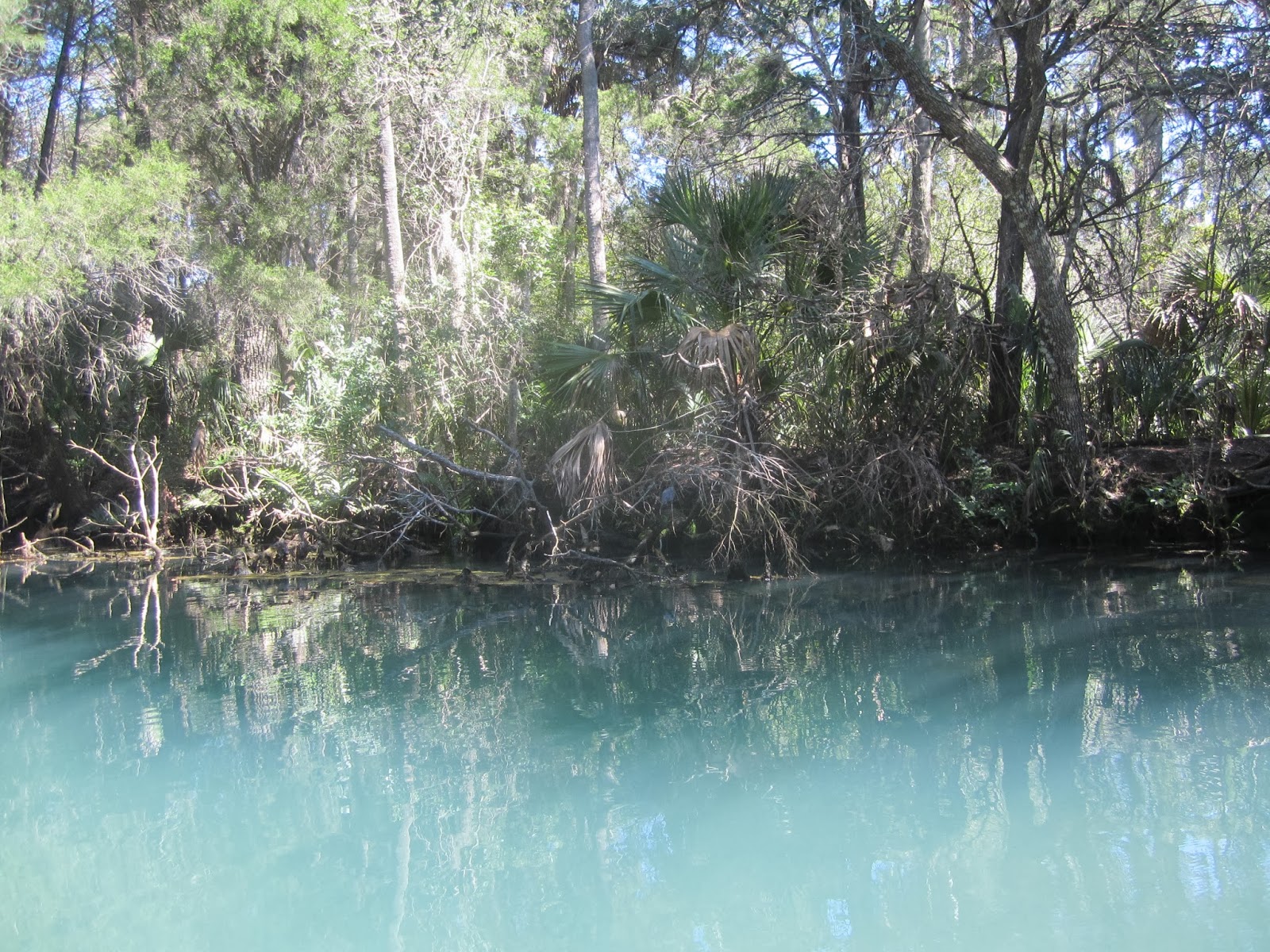 Dave's Yak Tales Weeki Wachee, Mud River, and Salt Spring