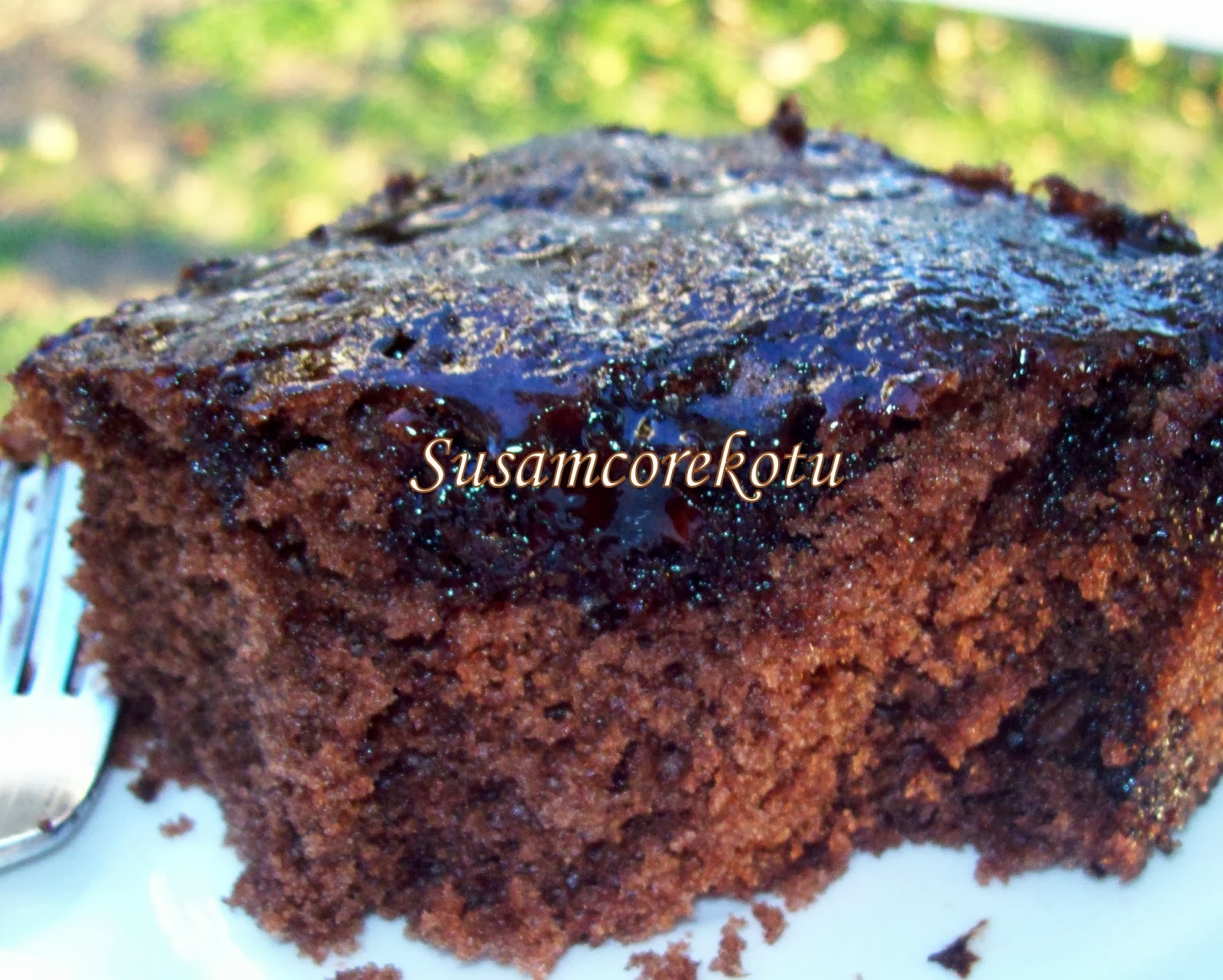 MİKRODALGA FIRINDA DAMLA ÇİKOLATALI ISLAK KEK Susam Çörek Otu
