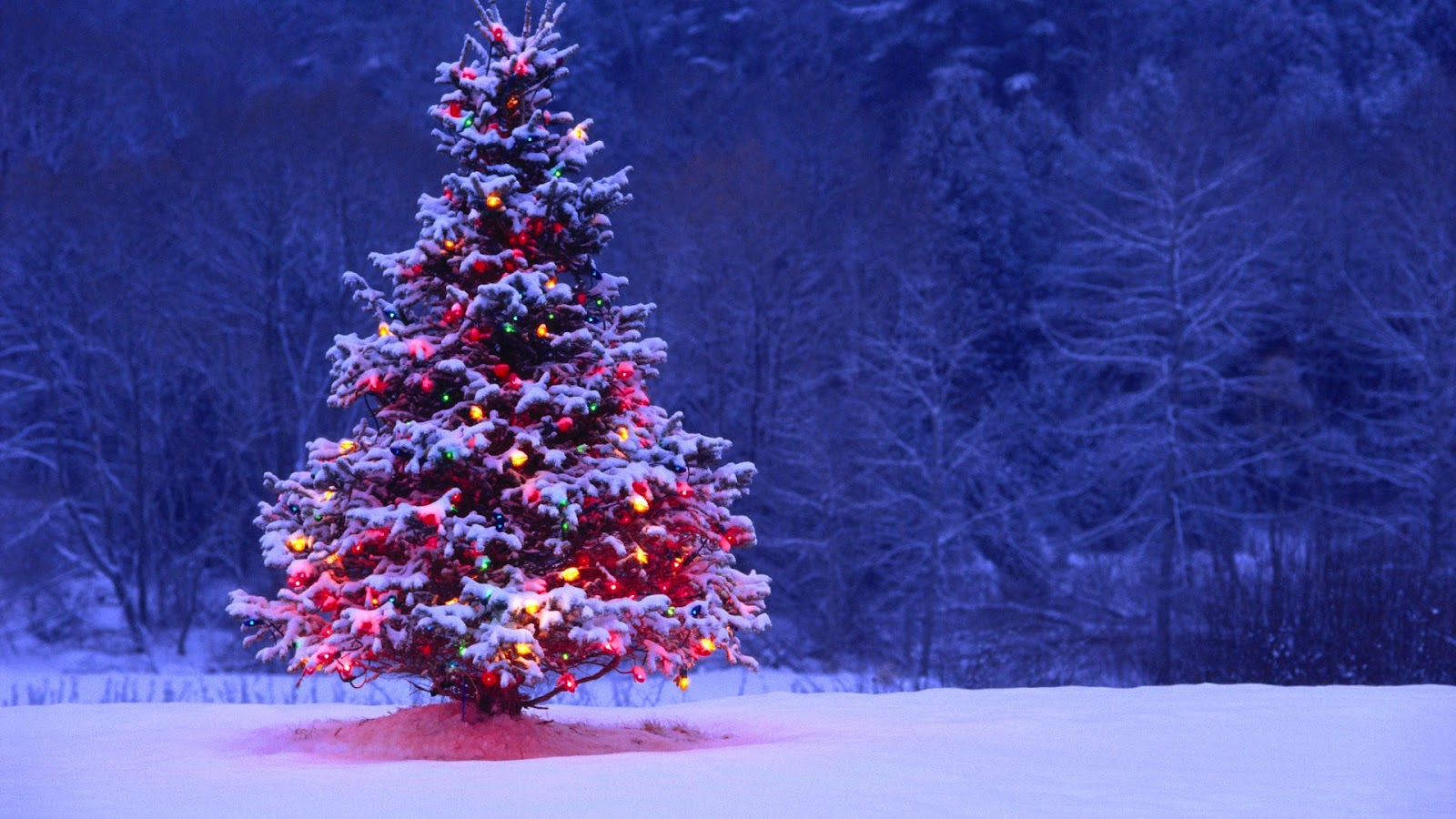 Gambar Pohon Natal Lengkap Gambarlin