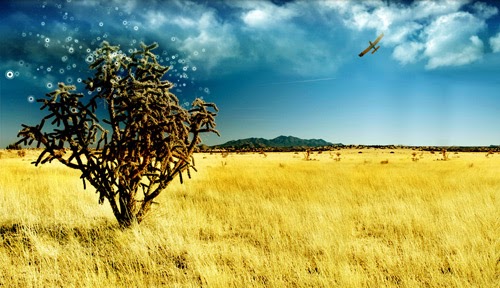 Amazing Pics |Daily Pictures