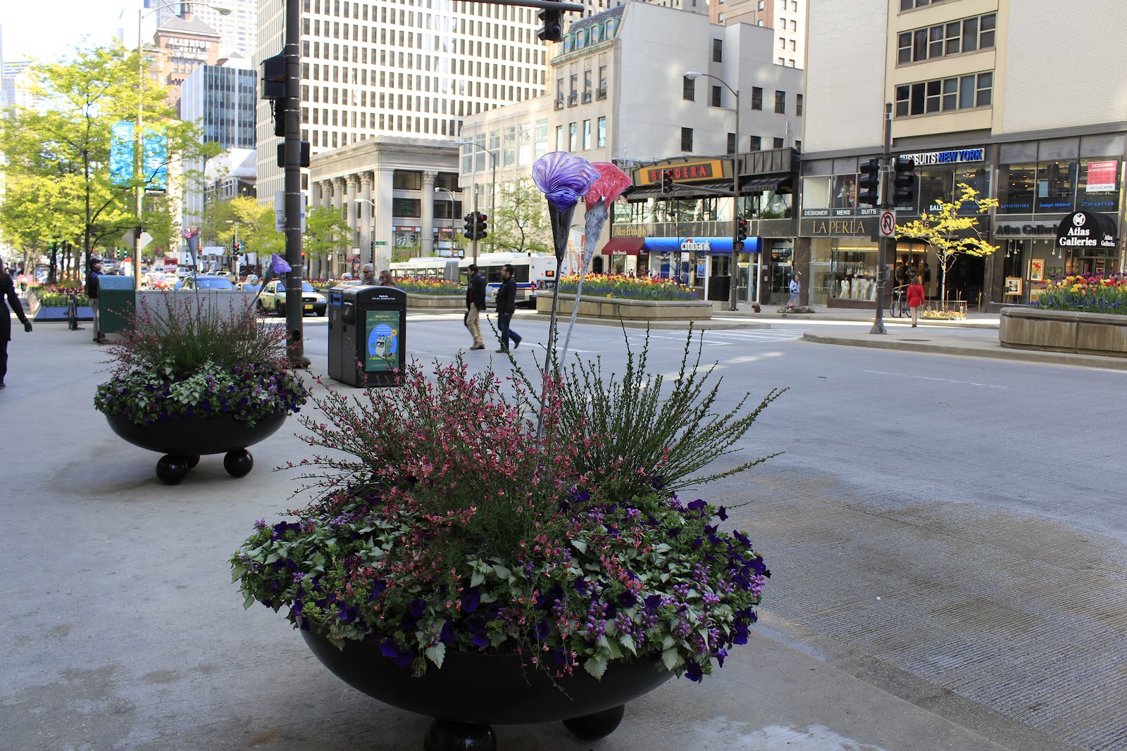 figs flowers food STREET FLOWERS OF CHICAGO
