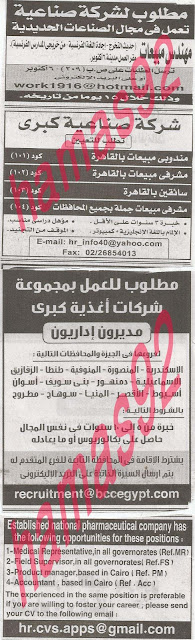13 وظائف اهرام الجمعة اليوم 23 8 2013 ahram 13 وظائف اهرام الجمعة اليوم 23 8 2013 ahram