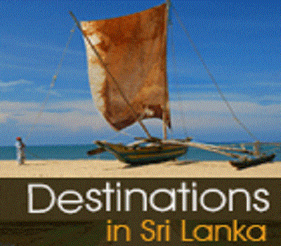 http://www.pearllankatours.com/holiday-packages-srilanka/