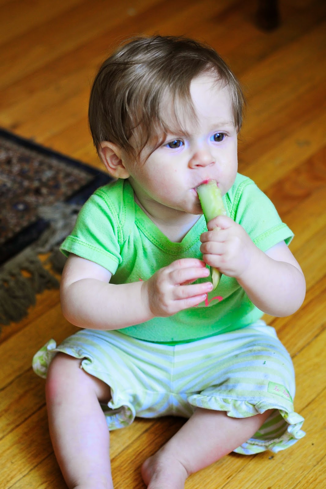 Simply Gourmet Refrigerator Dill Pickles