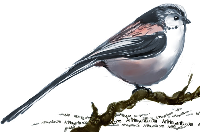 En  fågelmålning av en Stjärtmes från Artmagentas svenska galleri om fåglar.