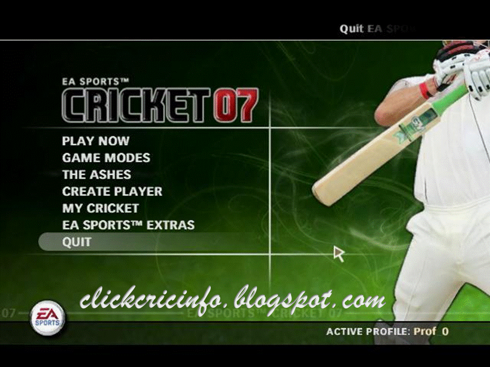 EA Sports Cricket 2007 PC Game Full Version Free Download Click Cric Info