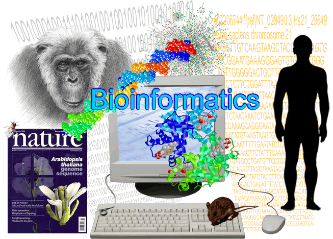 Learn Bioinformatics