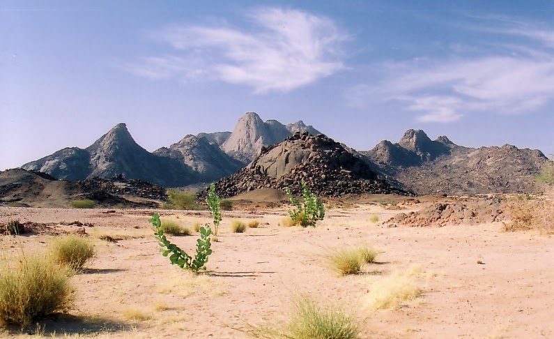 Climate and vegetation of Air Mountains ~ Great Mountain