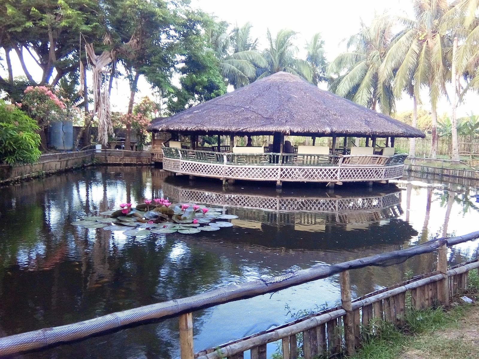 Fishers eco farm resort essay picture