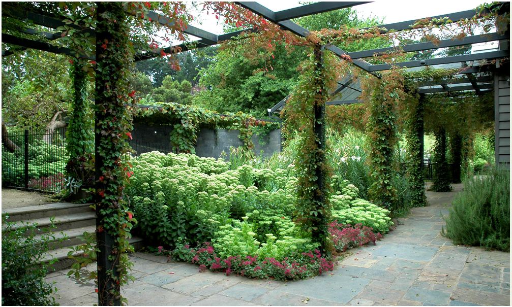 Kärleksört. | Garden architecture, Landscape design, Garden design