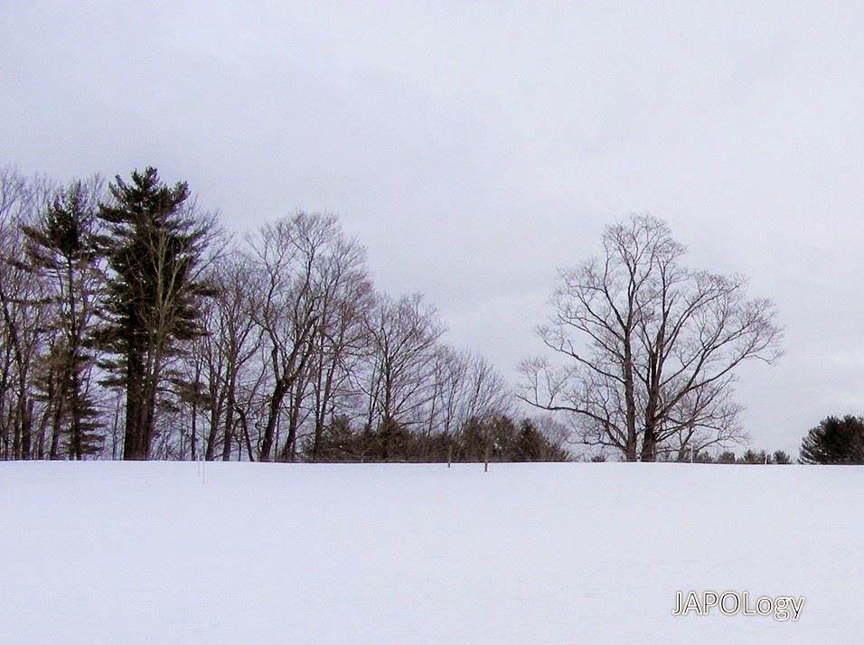 Sledding Snowshoeing Snow Angel My Rolling Stone Kind Of Life