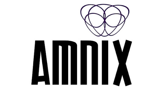 AMNIX Studio Art