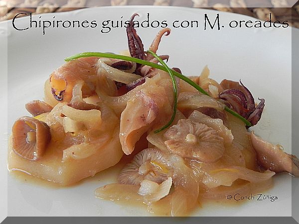 Chipirones Guisados Con M. Oreades