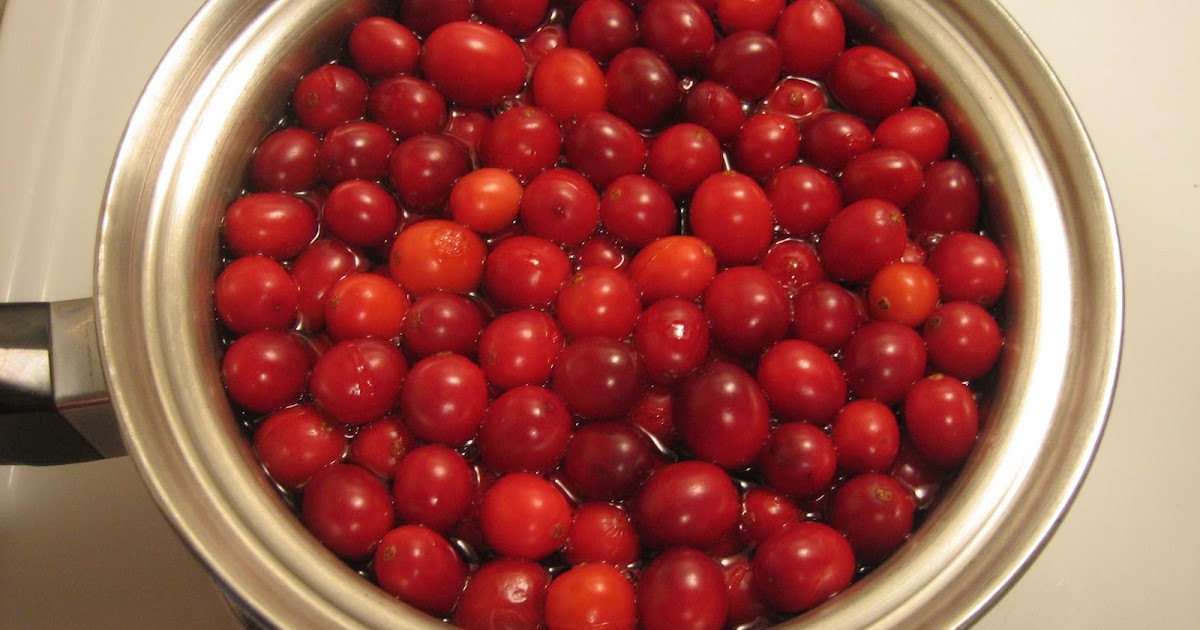 Discovering the Extraordinary How to Make Dried Cranberries (without