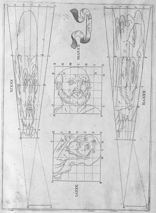 geometrical line drawing guides for anamorphic projection portrait of human male head