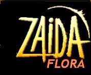 Zaida Flora
