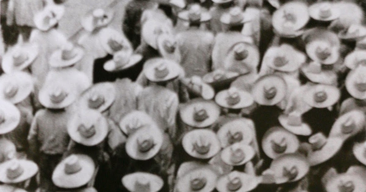 The Reality Check PHOTOGRAPHY IS NOT MEANT TO HANG ON WALLS