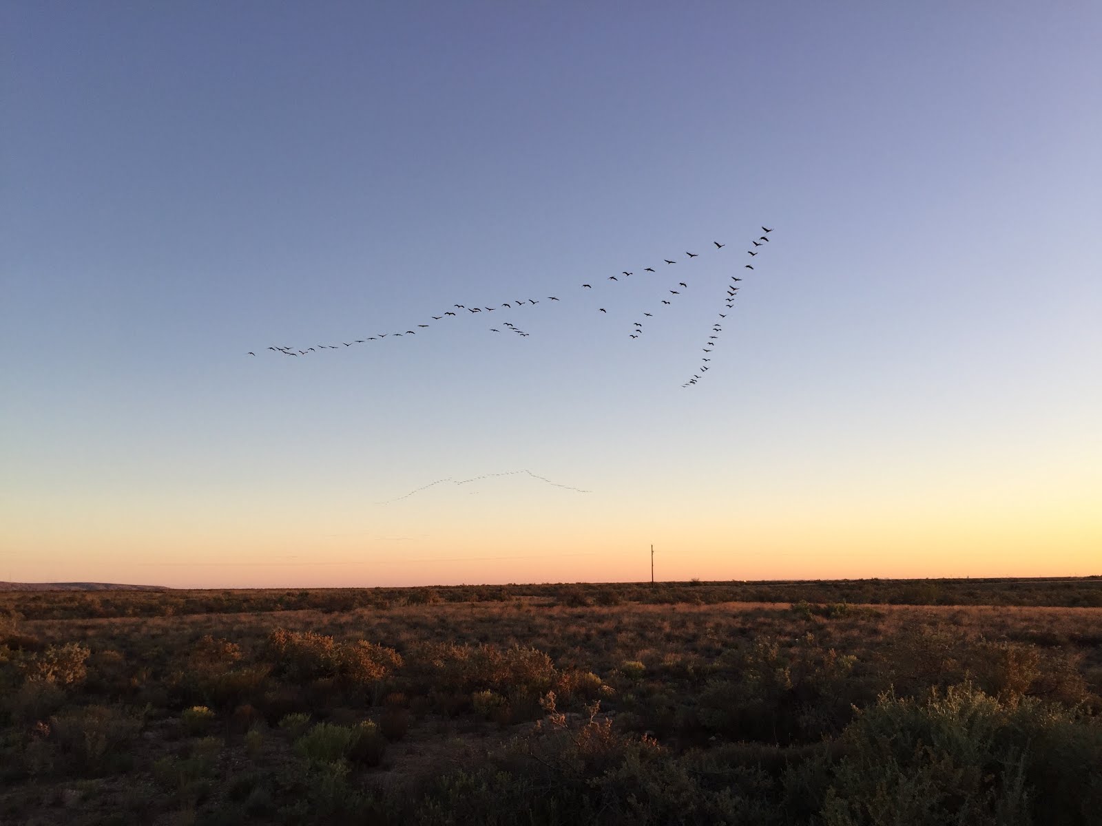 BITTER LAKE NWR