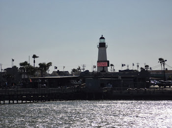 A view of Port Isabel from the pier